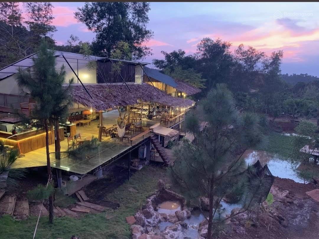 20240521080703-d42d_wm